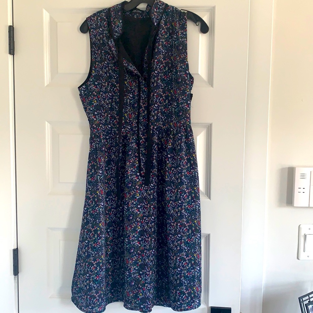 Liza luke sleeveless blue floral dress